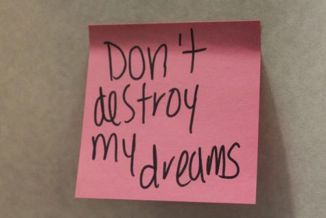 HEFAS and MSA hosts symbolic, supportive Wall of Solidarity before Trump inauguration