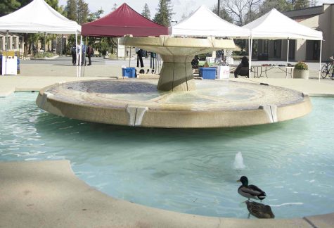 The De Anza quack is back