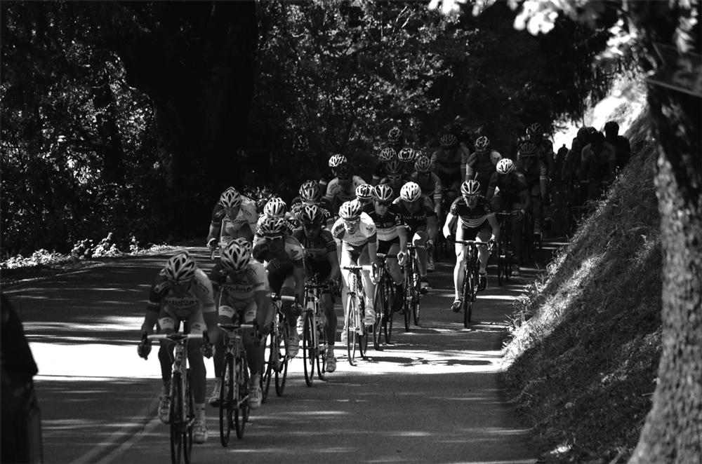 CRUISIN%E2%80%99-+Cyclists+race+through+the+Santa+Cruz+Mountains+near+Redwood+Estates+on+May+14+during+the+second+stage+of+the+AMGEN+Tour+of+California.+Slovakian+racer+Peter+Sagan%2C+22%2C+won+the+117.1+mile+stage+that+took+cyclists+from+San+Francisco+to+Santa+Cruz+with+a+time+of+5+hours+and+2+minutes.