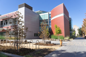 The Media & Learning center draws students with its environmentally friendly student lounges and quiet outdoor garden areas. 