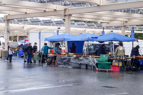 De Anza’s flea market: from fossils and crystals to vintage goods