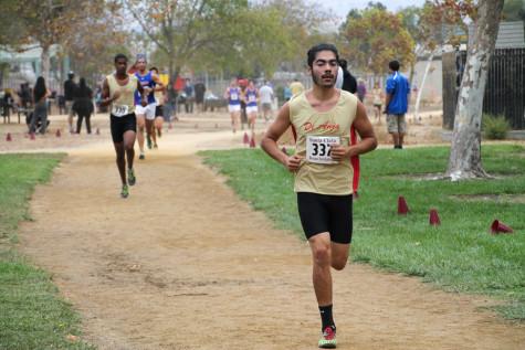 The young and the talented, De Anza cross country