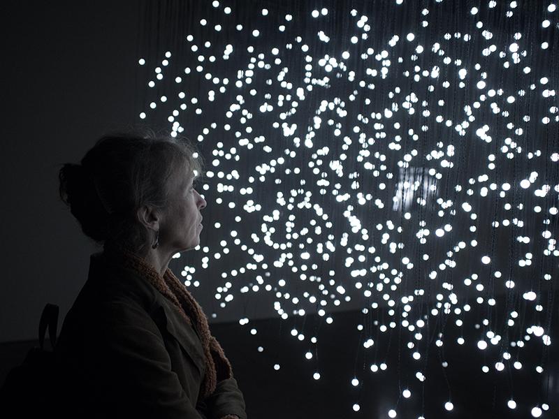 A visitor watches images of birds represented by LEDs suspended from the ceiling.