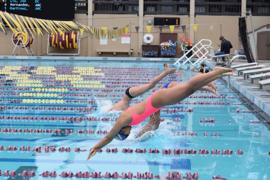 The Dons Jennifer Liu, 20, international business major, dives in for her 100 meter
freestyle race at De Anza College on Friday, April 8.