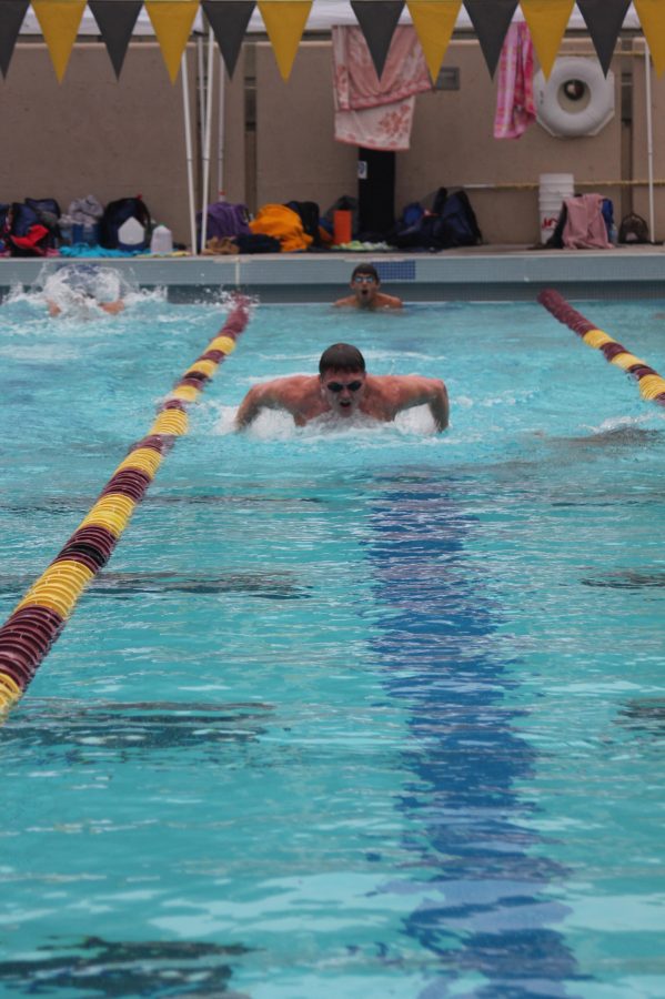 De Anza swimmer Barry Weickert, 20, bioengineering major, swims towards the finish line in his race on Friday, April 8.