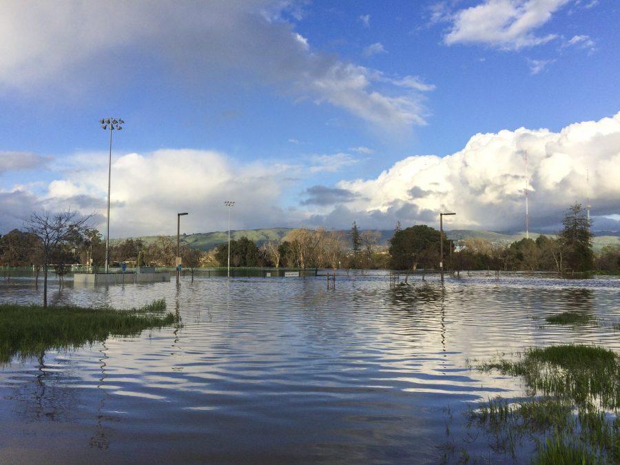 The flood engullfs the usually grassy soccer field and dog park of Watson Park in northside San Jose, Feb. 21.