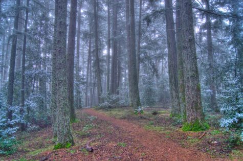 Sanborn County Park perfect spot for sporty weekend getaway