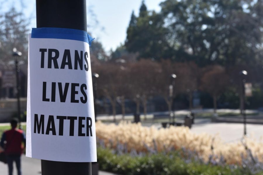 Posters advocating for transgender students found all over campus on Thursday, Feb. 8.
