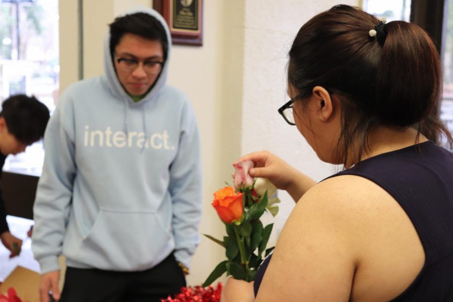 Laura Nguyen, 22, child development major, attempts to choose between 4 different roses at the DASB Valentines event.