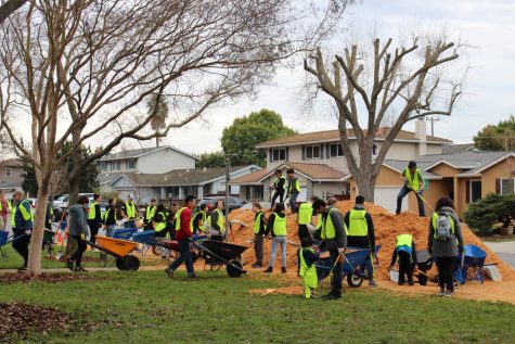 Volunteers use wheelbarrows to pick up the safety surfacing fibar. 