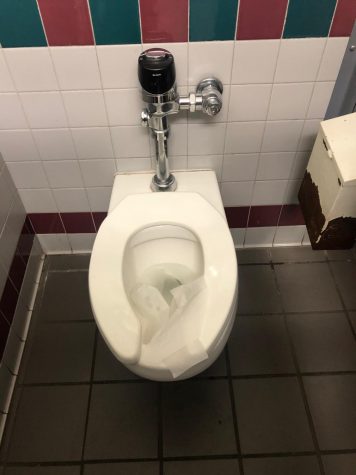Sinks, toilet with seat cover, water on the floor of L5 women’s restroom. 