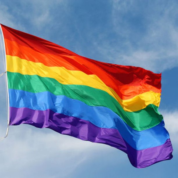 The rainbow flag, a common symbol of the LGBTQ+ community.