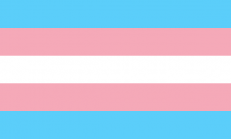 Transgender and non-binary students can now request that their records show their preferred name instead of their legal name (or deadname)