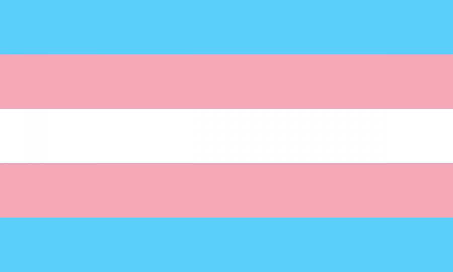 Transgender and non-binary students can now request that their records show their preferred name instead of their legal name (or deadname)