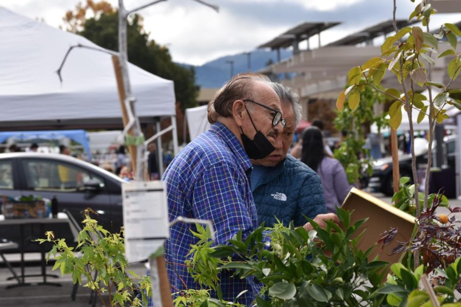 Hastings Chavez, wearing glasses, assisting a customer at the De Anza flea market on Saturday, Nov. 5 in Parking Lot A.