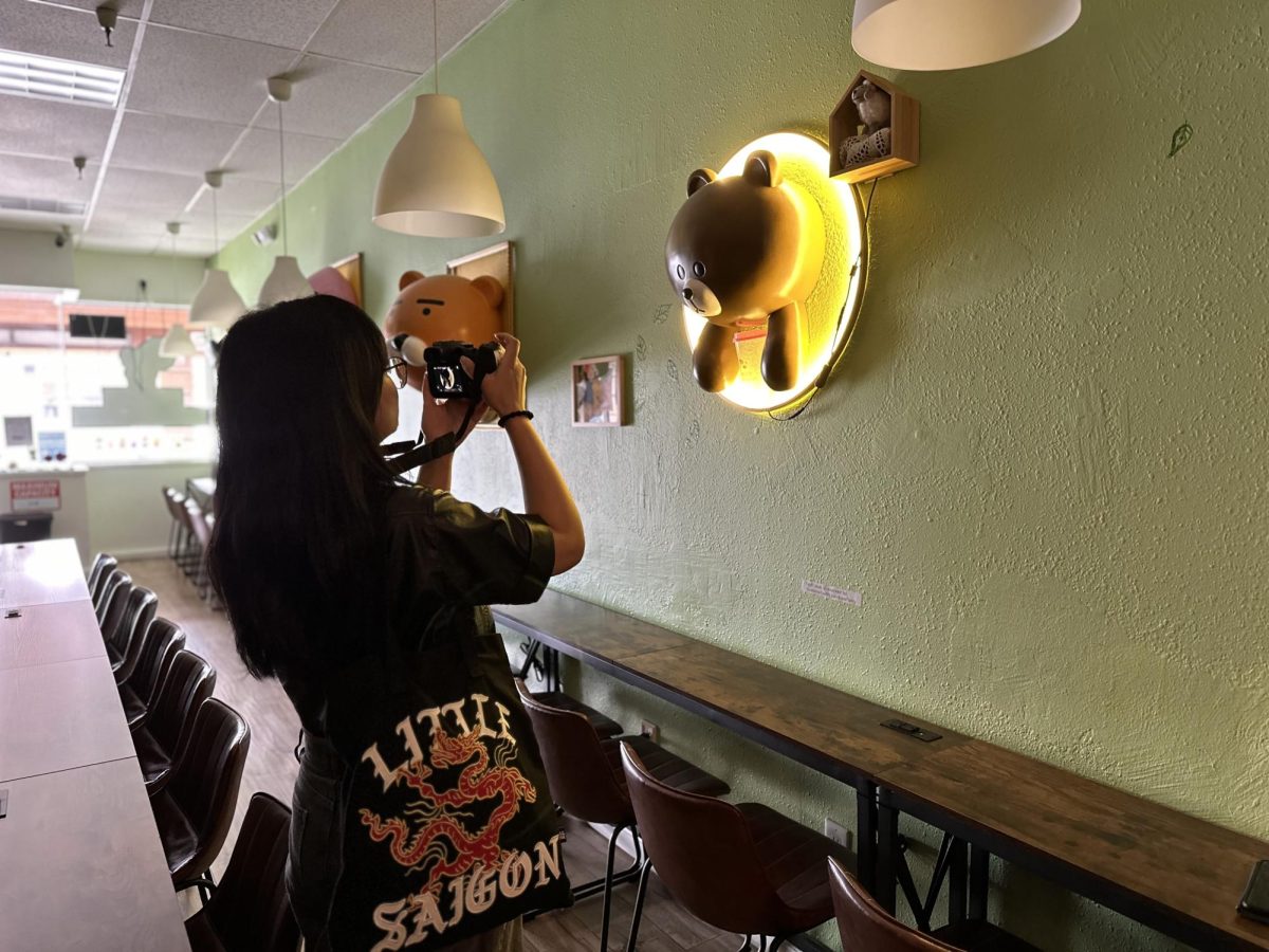 Lauren Vu, 20, La Voz freelancer, takes pictures at the Calibear Cyber Cafe on Oct. 11.