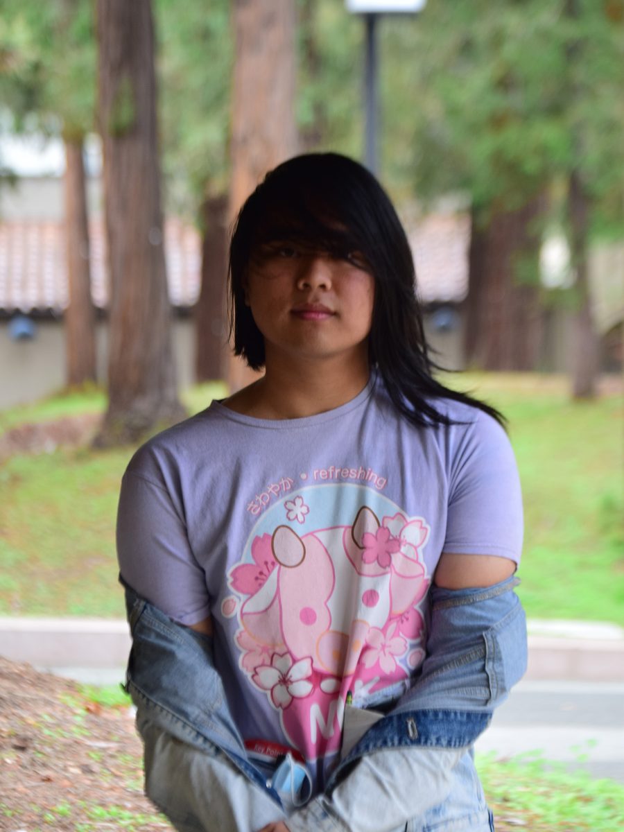 Ann Penalosa