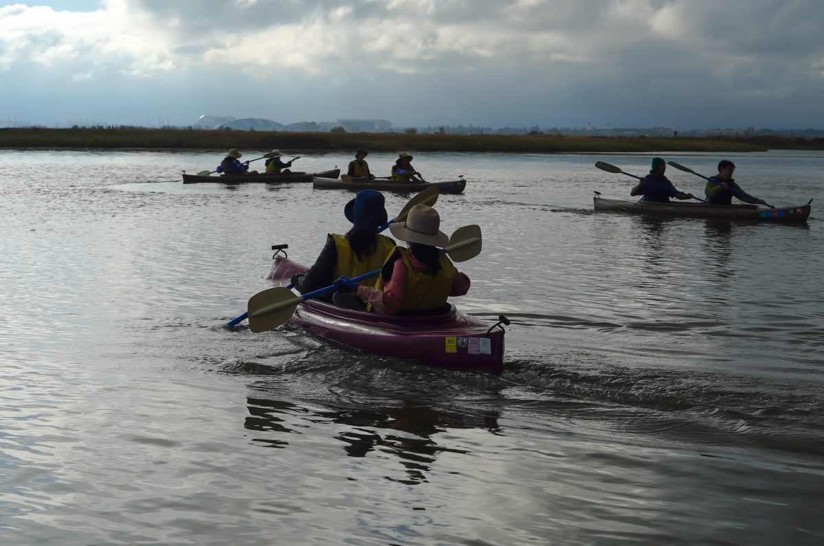 Students cut cleanly through the water, joining the groups already on the water after launching from the pier at the Baylands Preserve in Palo Alto on Oct. 13 for a kayaking lesson hosted by De Anza’s Outdoor Club.