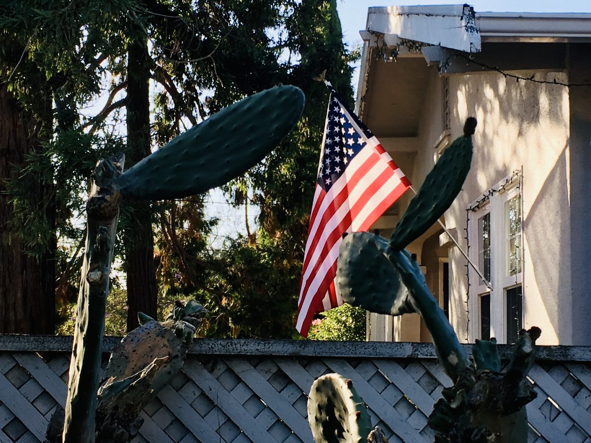 A house hangs an American flag on its flagpole, with cacti on the other side of a fence.