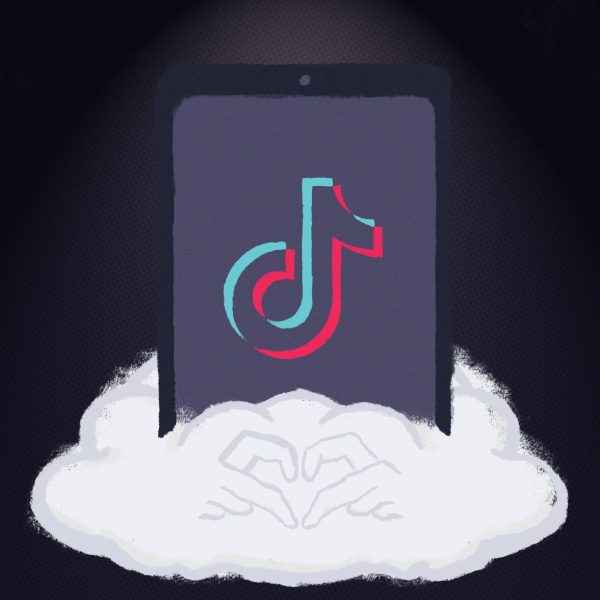 TikTok ban spells ill-fated doom for content creators, consumers