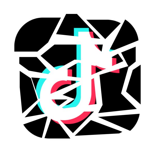 TikTok shuts down, goes live again hours later