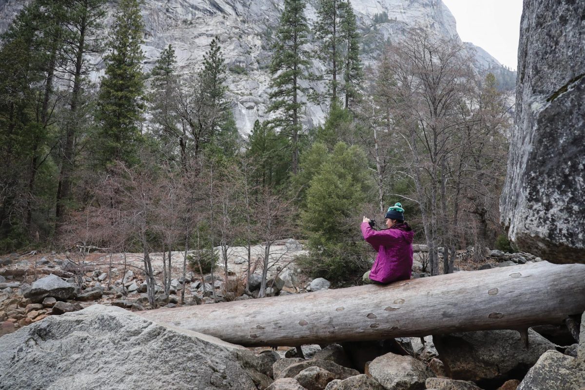 Carolyn Zhao, 20, liberal arts major, takes a photo of Mirror Lake while sitting on a fallen tree on Jan. 31.