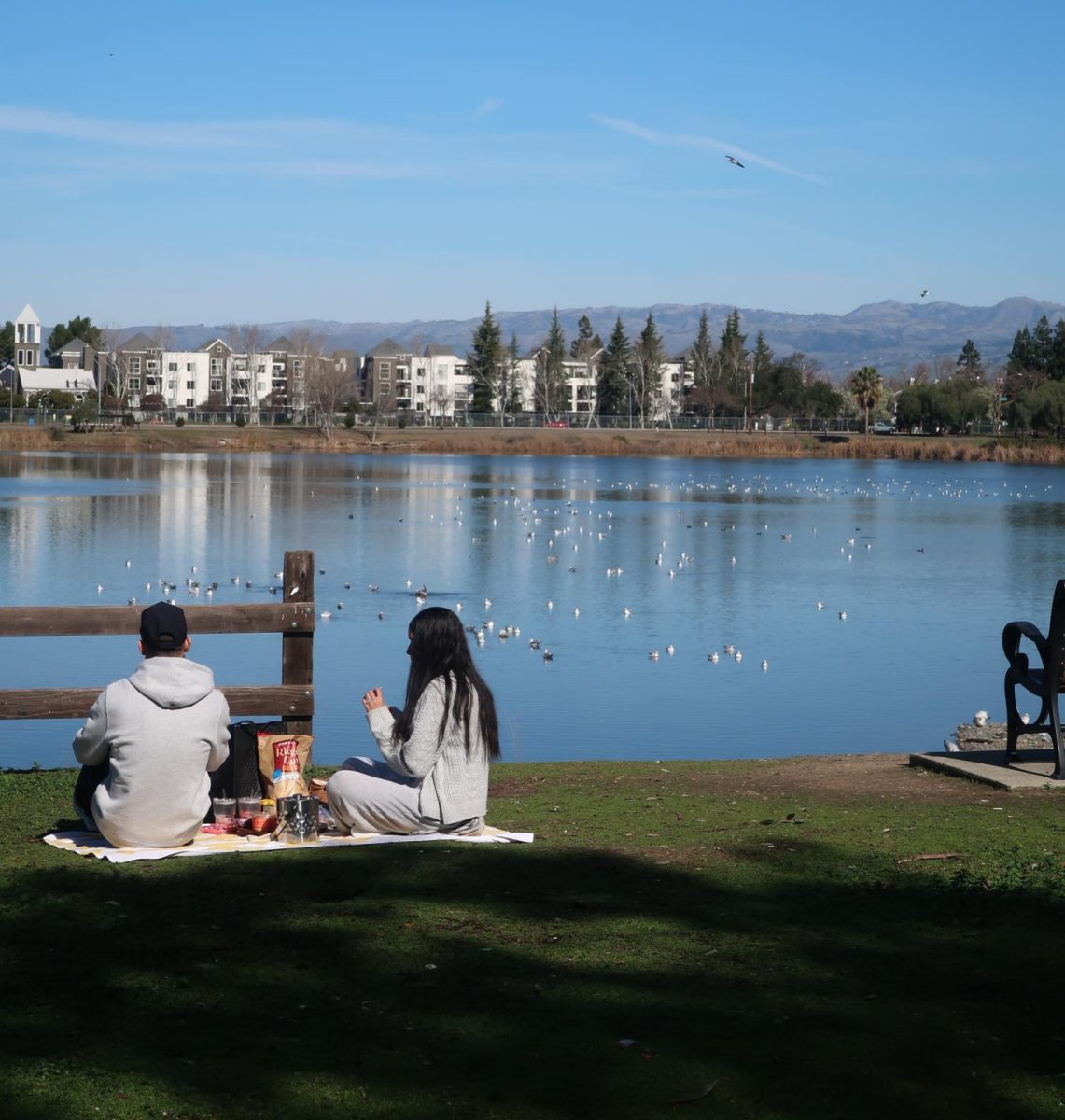 A couple enjoys a lakeside picnic at Almaden Lake Regional Park as seagulls float on the water under a clear afternoon sky on Feb. 10.