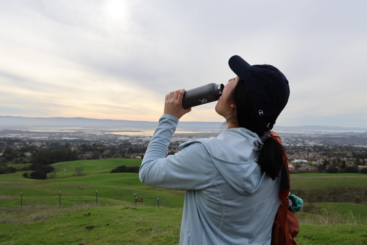 Carolyn Zhao, 20, liberal arts major, stops to drink water at Mission Peak on Feb. 15.