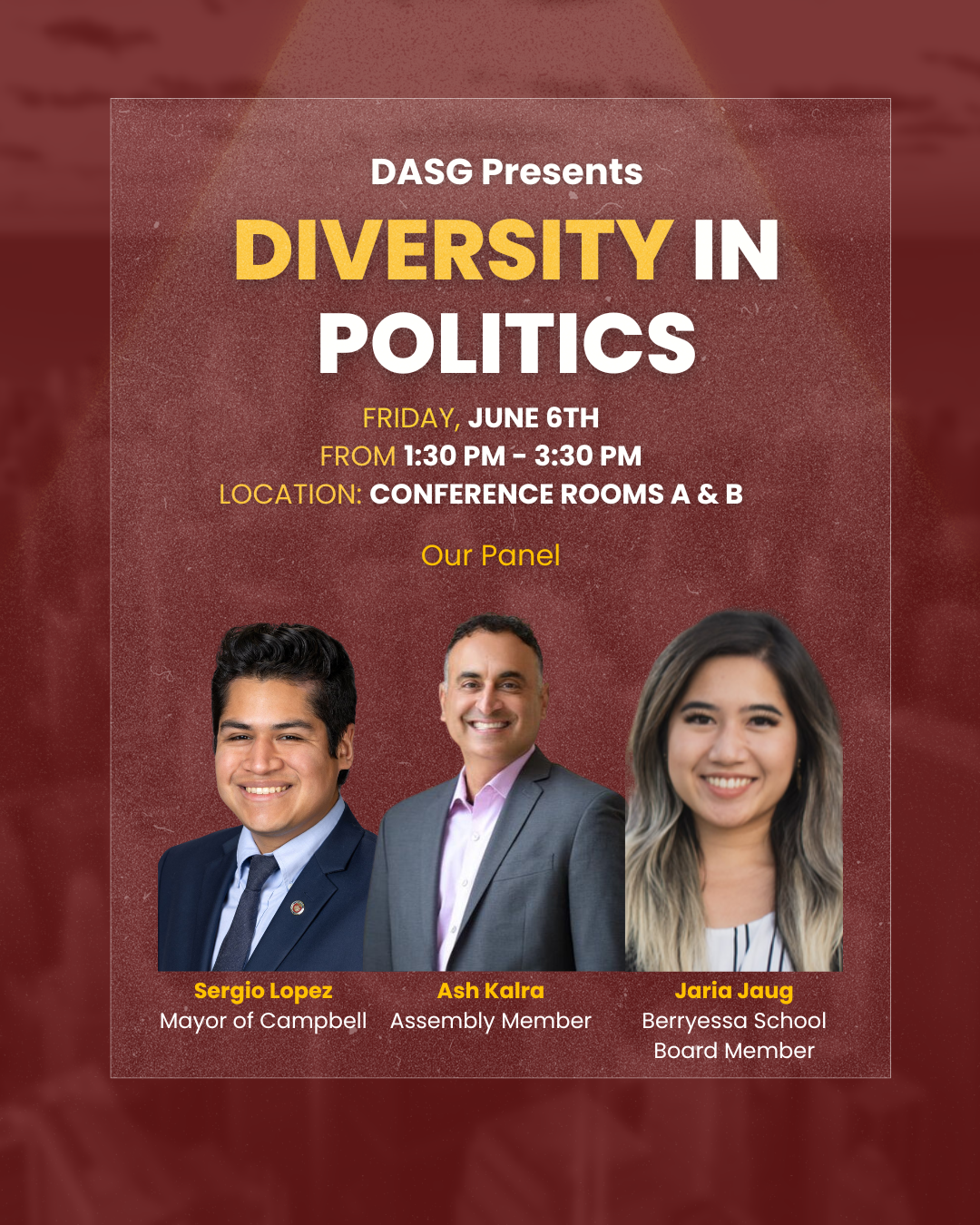DASG Diversity in politics
