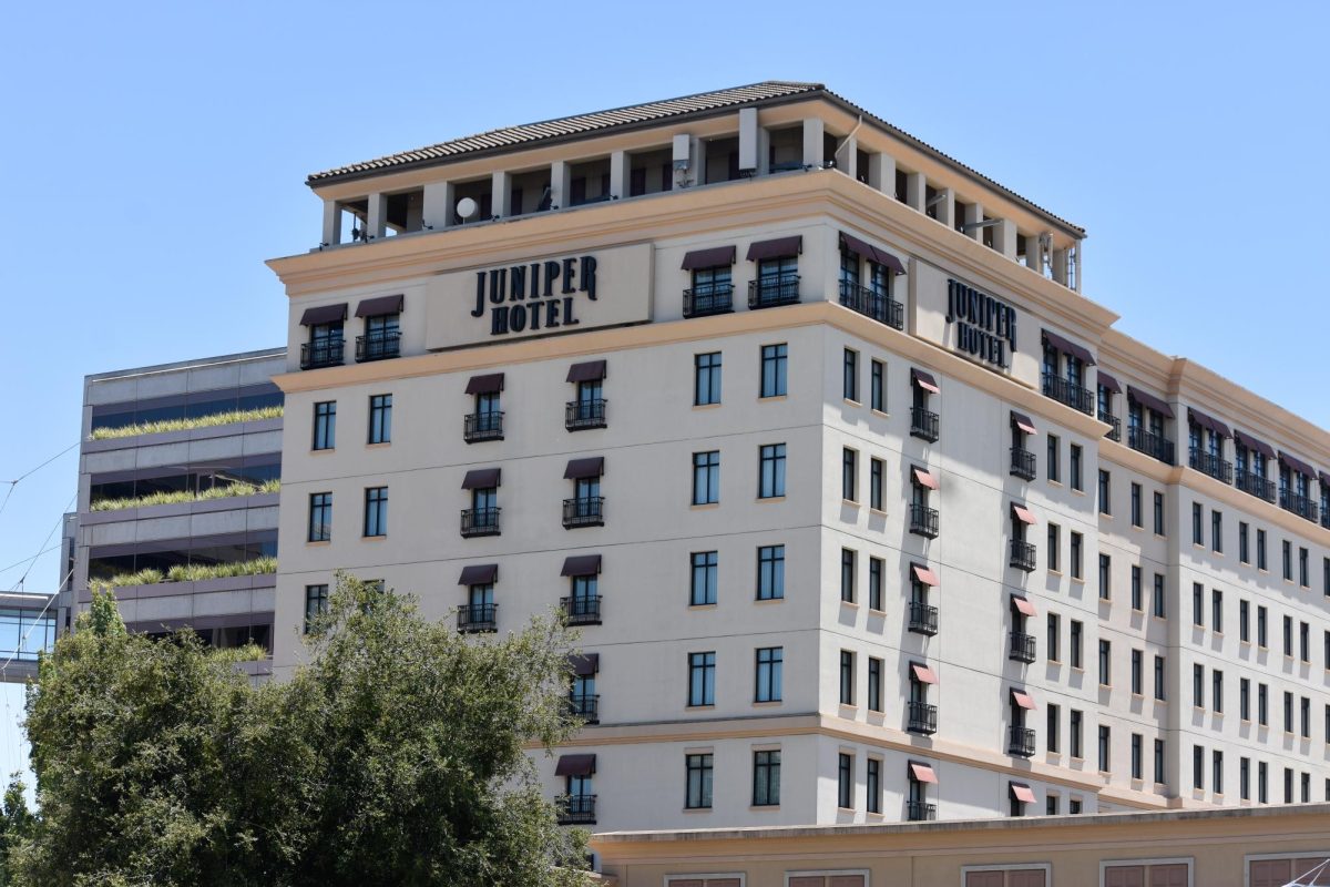 Our housing crisis, our symbolic suffering