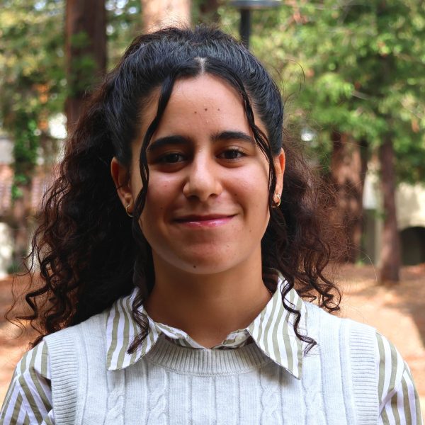 Laila Zedan