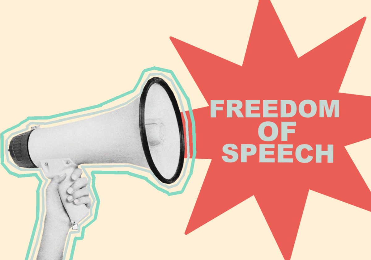 VIDA is updating the Academic Freedom and Free Speech Policy and plans to take place by the winter quarter.