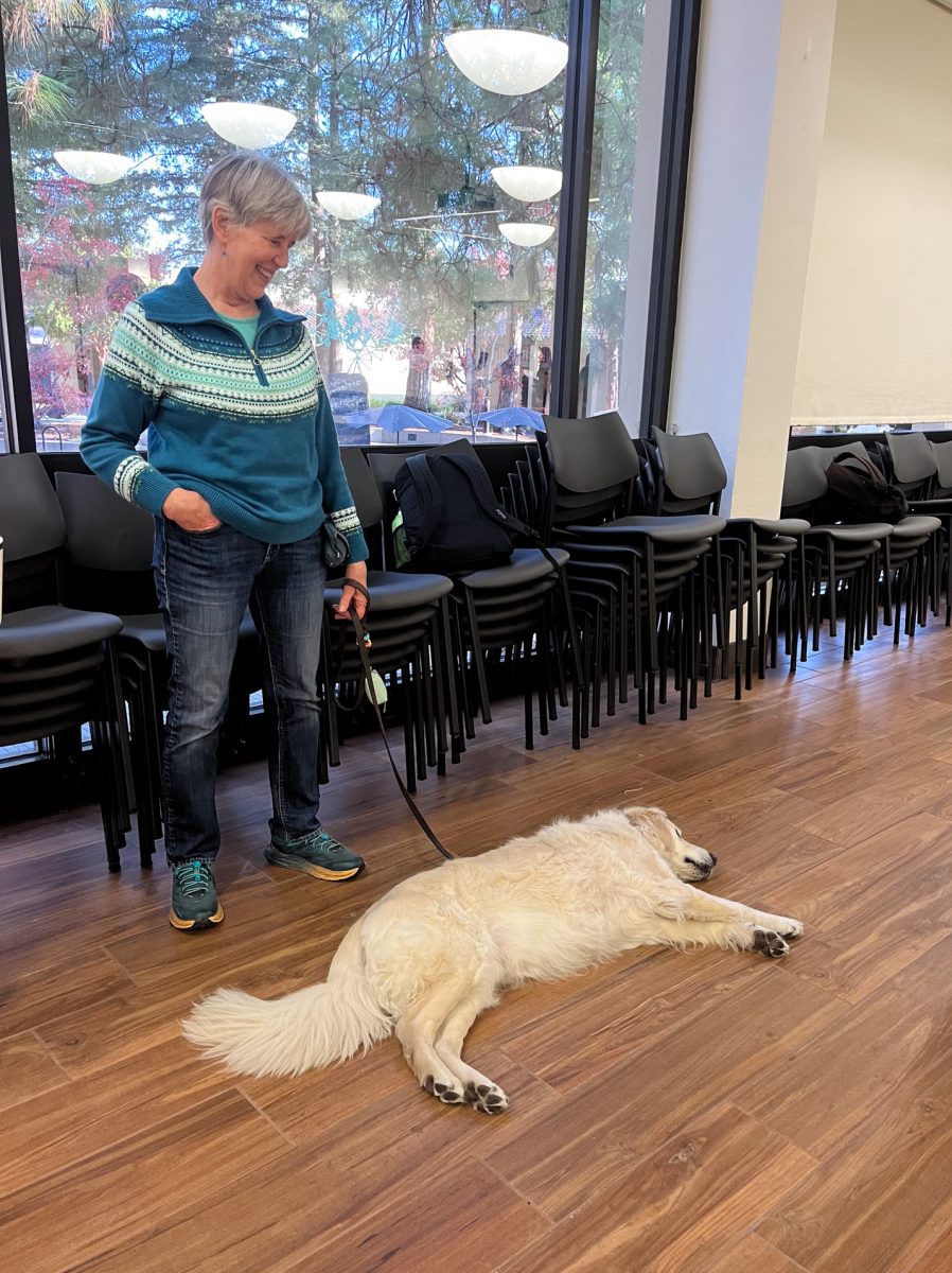 Dog handler from Paws-to-Share, an organization that brings together cats, dogs and humans for pats and fun, laughs as their pup rests on the floor of Conference Rooms A&B for the De Stress event on Dec. 1. Over 100 students attended the event for free boba drinks and to spend time with the pups before finals week. 