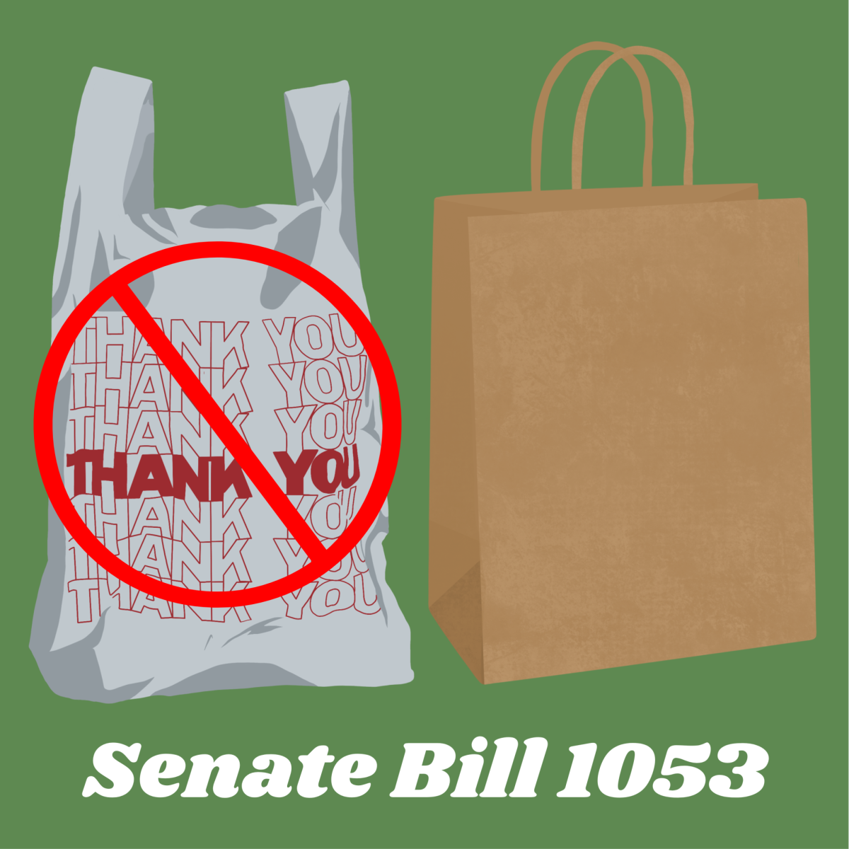 SB1053 aims to reduce massive plastic waste, but is banning plastic bags enough?