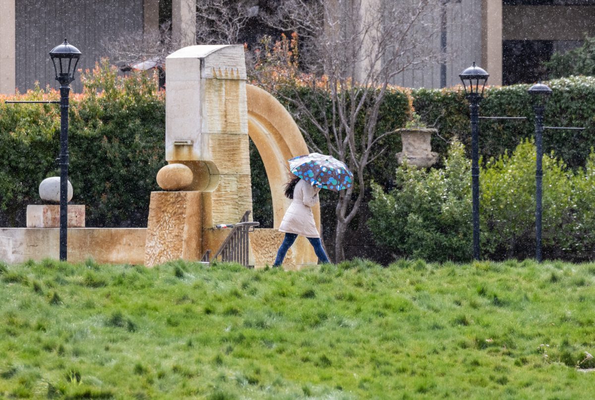 A woman with an umbrella walks through the rain next to the sunken garden on Feb. 19.