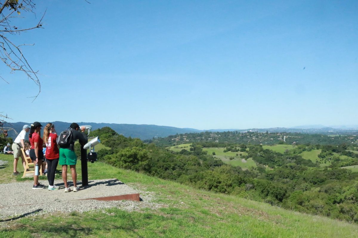 The viewpoint at the second-highest point of Foothills Nature Preserve, March 15. Visitors can see Oakland and Stanford University from this spot.